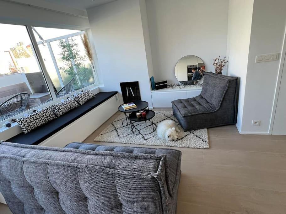 Beautiful Penthouse At 5Min Of Albert Place Knokke-Heist Eksteriør bilde